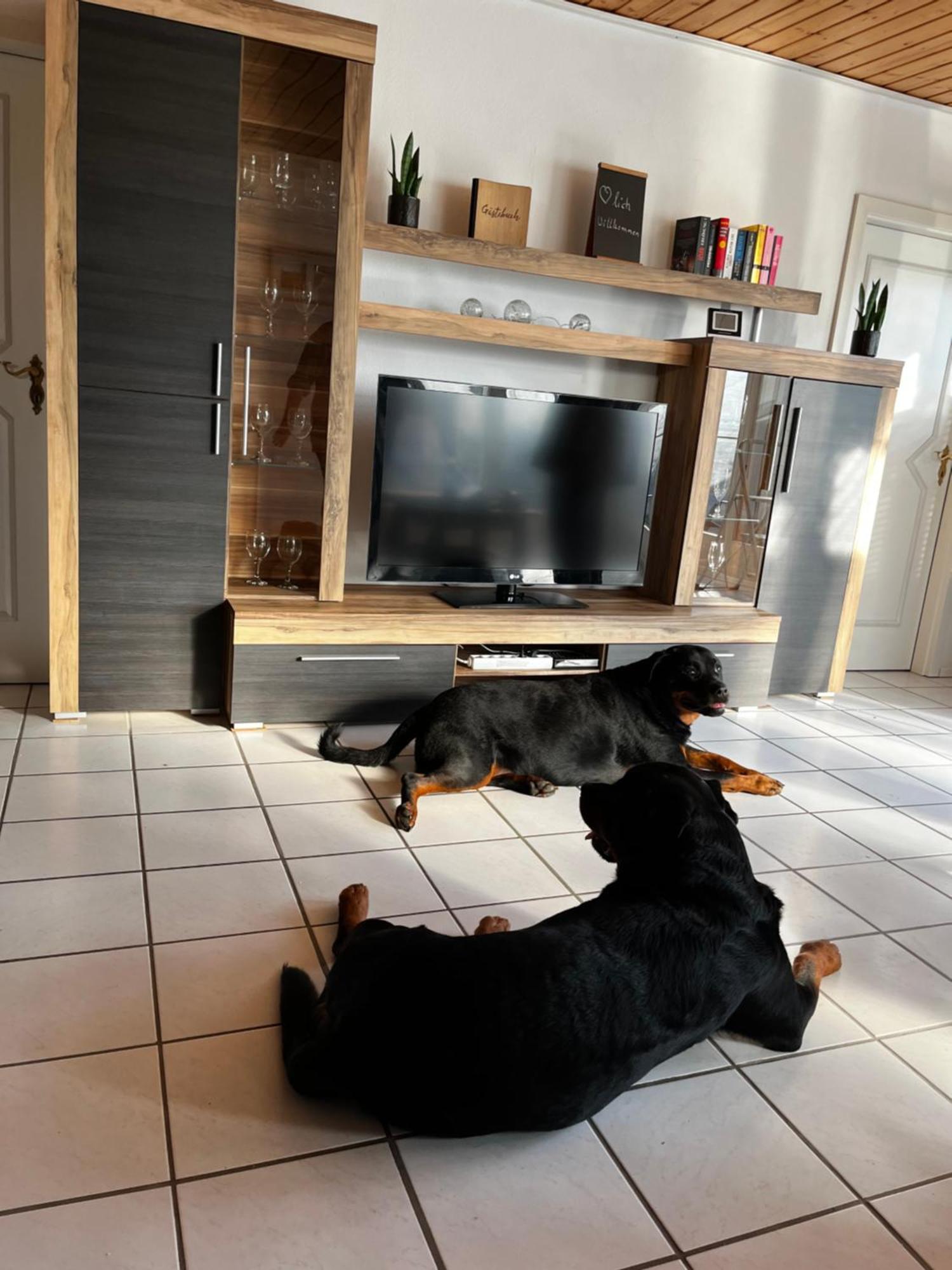 Zur Fellnase Villa Horka Екстериор снимка